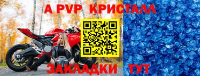 стаф Новодвинск