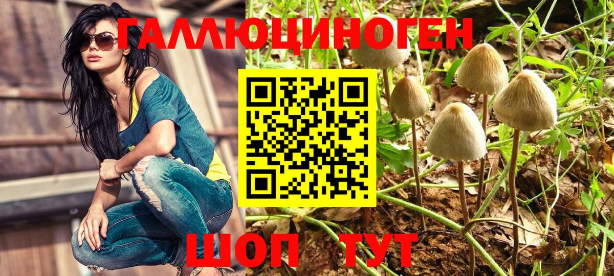 Стрежевой  Галлюциногенные грибы Cubensis  Вход с VPN 
